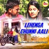 About Lehenga Chunni Aali Song